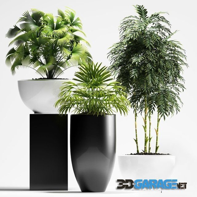 3D-model – Plants 195