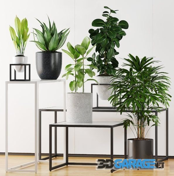 3D-model – Plants 203