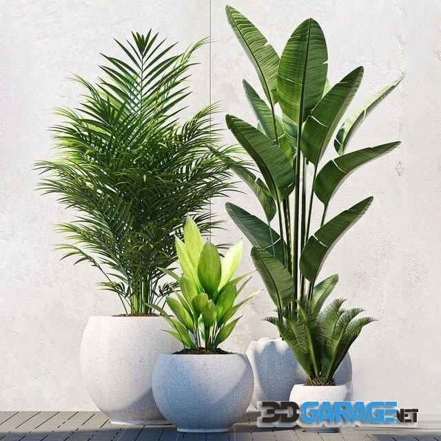 3D-model – Plants 208