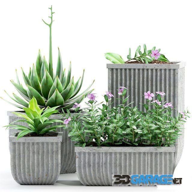 3D-model – Plants 209