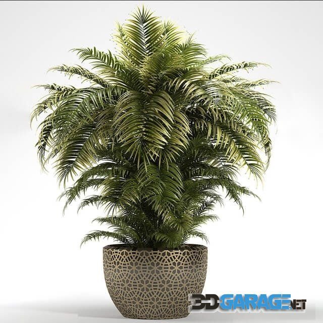 3D-model – Plants 222