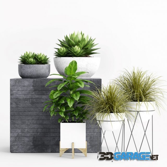 3D-model – Plants 78