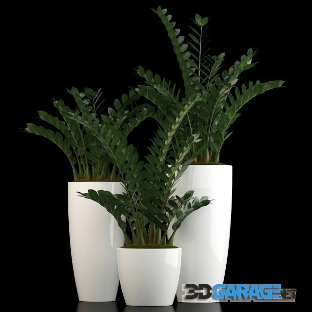 3D-model – Plants collection 56