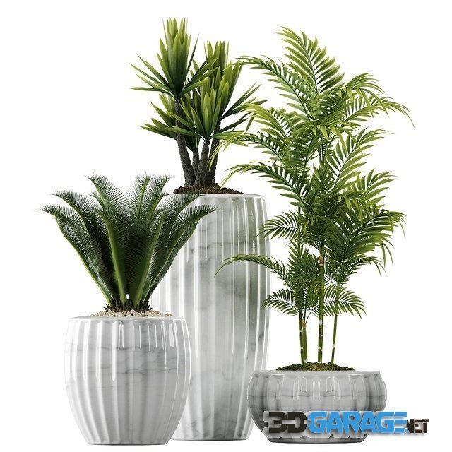 3D-model – Plants in Pots 140