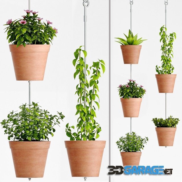 3d-model – Plants in Pots 60