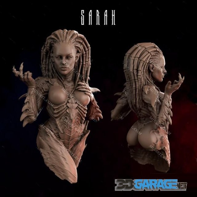 3d-print Model – Sarah
