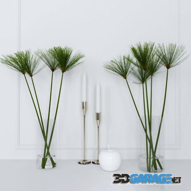 3D-model – Shoots of papyrus in a glass vase