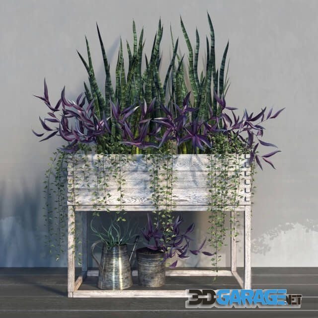 3D-model – Terrace plants 21