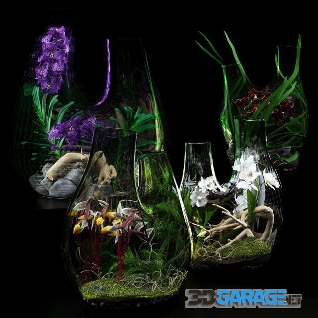 3D-model – Terrarium vases with Orchids