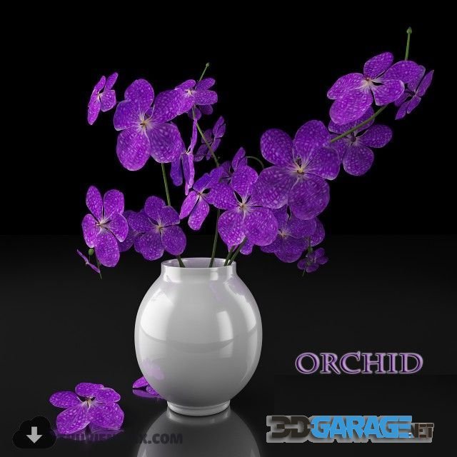 3d-model – Bouquet of flowers. Orchids
